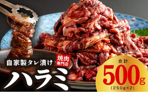 焼き肉専門店 自家製タレ漬け ハラミ 合計500g（250g×2） 099H3564