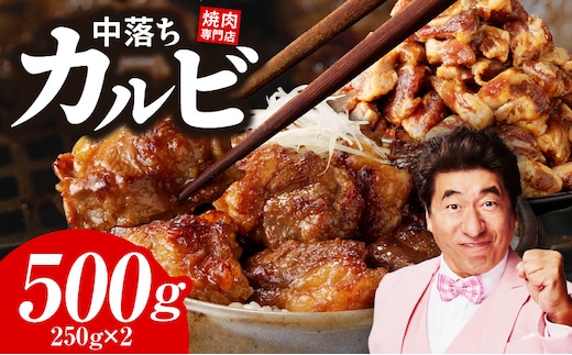 焼き肉専門店 自家製タレ漬け 中落ちカルビ 合計500g（250g×2） 099H3565