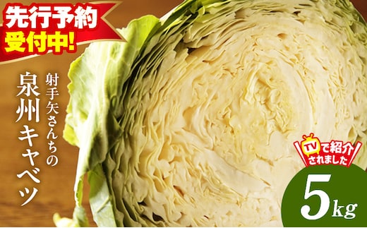 【先行予約】泉州キャベツ 5kg 2～5玉 射手矢農園 訳あり サイズ不揃い【TVで紹介！】 ity0018