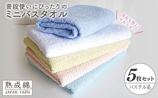 泉州タオル「普段使いにぴったりのミニバスタオル」５枚セット（パステル系）【泉州タオル 国産 吸水 普段使い 無地 シンプル 日用品 家族 ファミリー】 knt0045