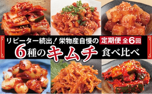 【リピーター続出】6種 キムチ食べ比べ 定期便 全6回【毎月配送コース 高評価 人気 惣菜 きむち 漬物 韓国グルメ おつまみ 家計応援 お楽しみ 福袋】 G2778
