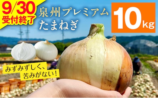 プレミアムたまねぎ 10kg【泉州 玉ねぎ タマネギ 玉葱 甘い 野菜 国産 オニオン サラダ カレー バーベキュー】 G3680-1