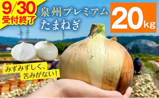 プレミアムたまねぎ 20kg【泉州 玉ねぎ タマネギ 玉葱 甘い 野菜 国産 オニオン サラダ カレー バーベキュー】 G3682-1