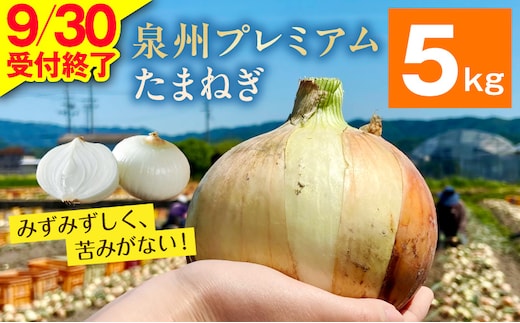 プレミアムたまねぎ 5kg【泉州 玉ねぎ タマネギ 玉葱 甘い 野菜 国産 オニオン サラダ カレー バーベキュー】 G3689-1