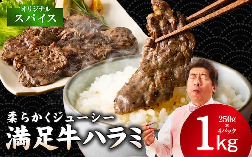 【満足牛ハラミ】オリジナルスパイス仕込み 合計1kg 【味付け ハラミ 小分け 焼くだけ 簡単調理 BBQ 牛肉 250g×4P】 G3356