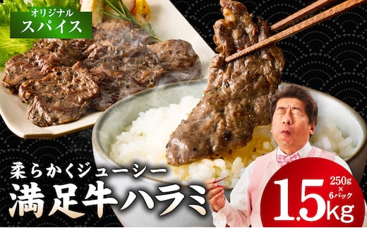【満足牛ハラミ】オリジナルスパイス仕込み 合計1.5kg 【味付け ハラミ 小分け 焼くだけ 簡単調理 BBQ 牛肉 250g×6P】 G3366