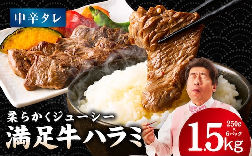 【満足牛ハラミ】中辛タレ漬け 合計1.5kg 【味付け ハラミ 小分け 焼くだけ 簡単調理 BBQ 牛肉 250g×6P】 G3367