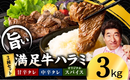 【満足牛ハラミ】3種セット （甘辛タレ漬け・中辛タレ漬け・オリジナルスパイス仕込み） 合計3kg 【味付け ハラミ 小分け 焼くだけ 簡単調理 BBQ 牛肉 250g×12P】 G3403