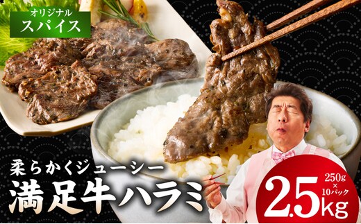 【満足牛ハラミ】オリジナルスパイス仕込み 合計2.5kg 【味付け ハラミ 小分け 焼くだけ 簡単調理 BBQ 牛肉 250g×10P】 G3407