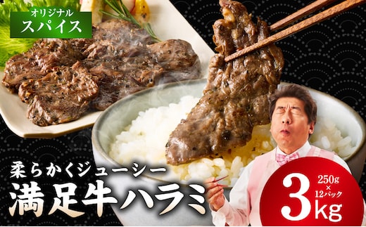 【満足牛ハラミ】オリジナルスパイス仕込み 合計3kg 【味付け ハラミ 小分け 焼くだけ 簡単調理 BBQ 牛肉 250g×12P】 G3409