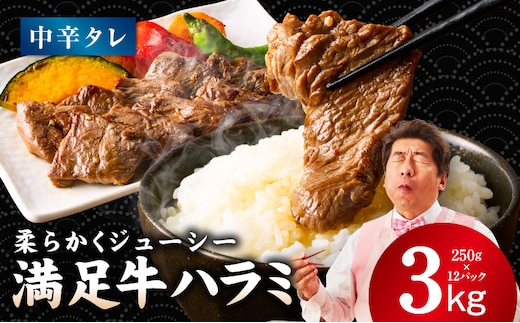 【満足牛ハラミ】中辛タレ漬け 合計3kg 【味付け ハラミ 小分け 焼くだけ 簡単調理 BBQ 牛肉 250g×12P】 G3412