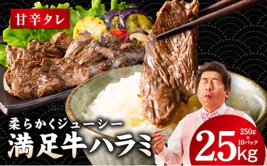 【満足牛ハラミ】甘辛タレ漬け 合計2.5kg 【味付け ハラミ 小分け 焼くだけ 簡単調理 BBQ 牛肉 250g×10P】 G3413