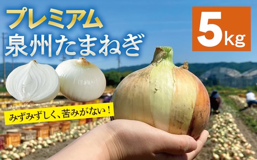【プレミアム】泉州たまねぎ 5kg【玉ねぎ タマネギ 玉葱 甘い 野菜 国産 オニオン サラダ カレー バーベキュー 先行予約】 ity0023