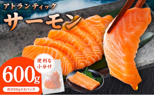 アトランティックサーモン 600g【小分け 200g×3P 柵切り 刺身 魚介 海鮮 さーもん 生食 お試し】 G3544