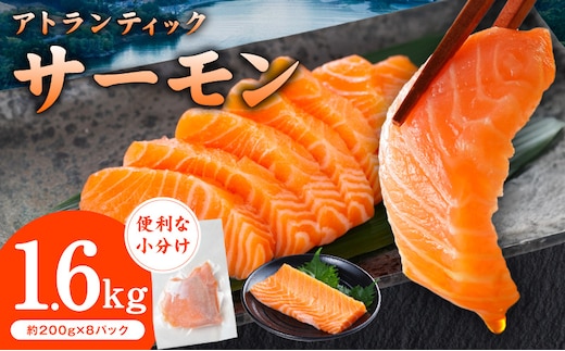 アトランティックサーモン 1.6kg【小分け 200g×8P 柵切り 刺身 魚介 海鮮 さーもん 生食】 G3551