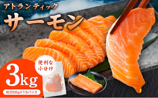 アトランティックサーモン 3kg【小分け 200g×15P 柵切り 刺身 魚介 海鮮 さーもん 生食】 G3554