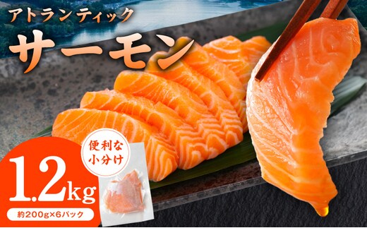 アトランティックサーモン 1.2kg【小分け 200g×6P 柵切り 刺身 魚介 海鮮 さーもん 生食】 G3561