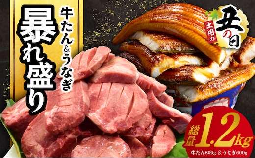 【7/26土用の丑の日】暴れ盛りセット 牛たん & うなぎ 総量 1.2kg【600g×2 牛肉 厚切り牛タン 鰻 蒲焼き 訳あり サイズ不揃い 小分け 家計応援】 G3614d
