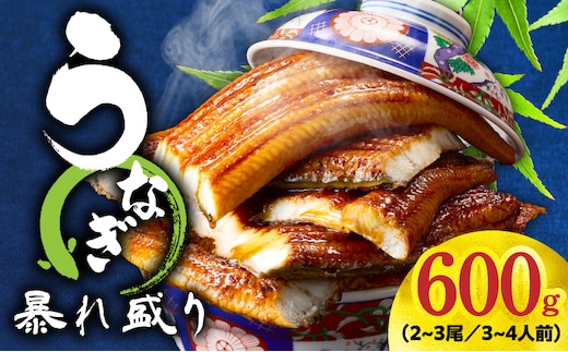 うなぎ 蒲焼き 暴れ盛り 合計 600g【鰻 真空パック 簡単調理 訳あり サイズ不揃い 人気 惣菜 うな重 うな丼 ひつまぶし にも】 G3615