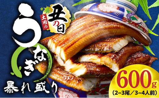 【7/26土用の丑の日】うなぎ 蒲焼き 暴れ盛り 合計 600g【鰻 真空パック 簡単調理 訳あり サイズ不揃い 人気 惣菜 うな重 うな丼 ひつまぶし にも】 G3615d