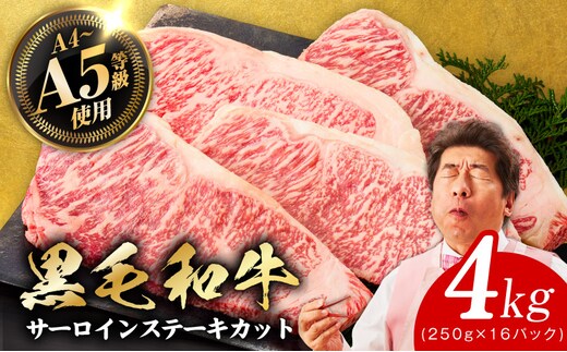 A5/A4ランク 黒毛和牛 サーロインステーキカット 合計4kg（250g×16P）【極味付け肉】 G3644-1