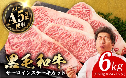 A5/A4ランク 黒毛和牛 サーロインステーキカット 合計6kg（250g×24P）【極味付け肉】 G3645-1
