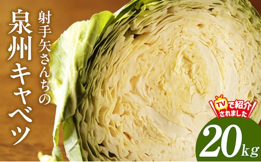【スピード発送】射手矢さんちの泉州キャベツ20kg【TVで紹介！】 G3675