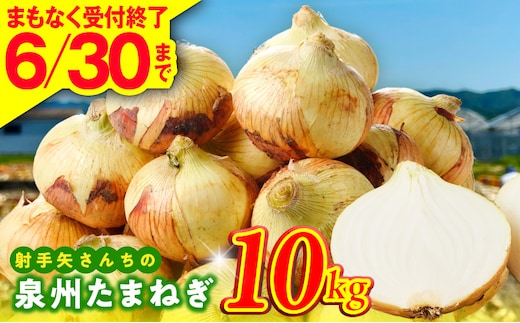 【6月30日受付終了】泉州たまねぎ 10kg 玉ねぎ 射手矢農園【タマネギ 玉葱 甘い 野菜 国産 期間限定 オニオン スライス サラダ カレー シチュー バーベキュー BBQ 肉じゃが】 G3686-1