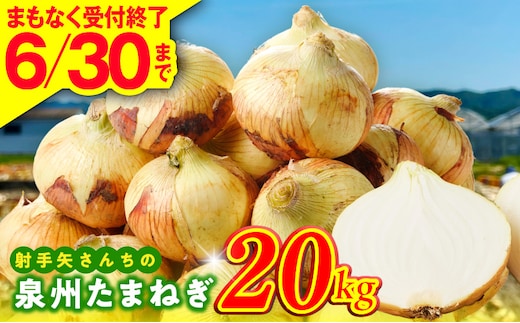 【6月30日受付終了】泉州たまねぎ 20kg 玉ねぎ 射手矢農園【タマネギ 玉葱 甘い 野菜 国産 期間限定 オニオン スライス サラダ カレー シチュー バーベキュー BBQ 肉じゃが】 G3687-1