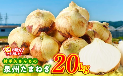 泉州たまねぎ 20kg 玉ねぎ 射手矢農園【タマネギ 玉葱 甘い 野菜 国産 期間限定 オニオン スライス サラダ カレー シチュー バーベキュー BBQ 肉じゃが】 G3687-1
