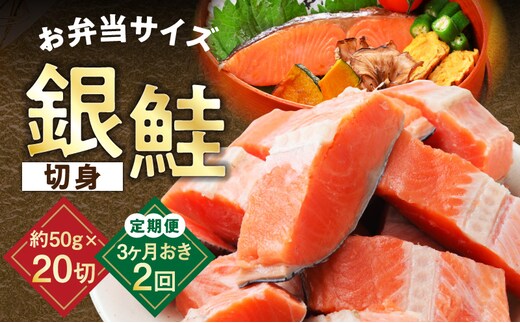 【定期便】銀鮭 切身 約50g×20切れ 全2回【2026年2月＆2026年5月発送 小分け 漁師 手切り 1kg さけ サケ 切り身 弁当 朝食 時短 訳あり サイズ不揃い 規格外 冷凍食品】 G3730