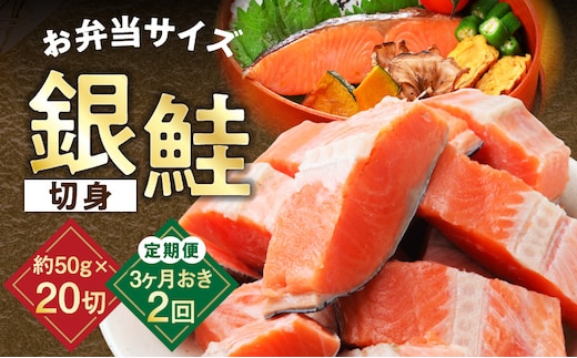 【定期便】銀鮭 切身 約50g×20切れ 全2回【2026年3月＆2026年6月発送 小分け 漁師 手切り 1kg さけ サケ 切り身 弁当 朝食 時短 訳あり サイズ不揃い 規格外 冷凍食品】 G3736