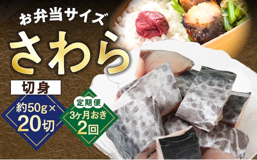 【定期便】さわら 切身 約50g×20切れ 全2回【2026年3月＆2026年6月発送 小分け 漁師 手切り 1kg 泉州 鰆 切り身 弁当 朝食 時短 訳あり サイズ不揃い 規格外 冷凍食品】 G3737