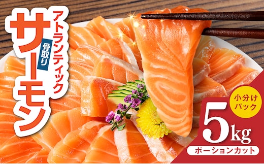 アトランティックサーモン 5kg【小分け ポーション 柵切り 刺身 魚介 海鮮 さーもん 生食 訳あり サイズ不揃い】 G3803-1