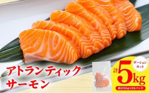 アトランティックサーモン 5kg【小分け 200g×25P 柵切り 刺身 魚介 海鮮 さーもん 生食 お試し】 G3803