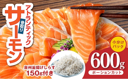 アトランティックサーモン 600g+しらす150g【小分け ポーション 柵切 しらす シラス sirasu 刺身 魚介 海鮮 さーもん 生食 お試し】 G3805-1