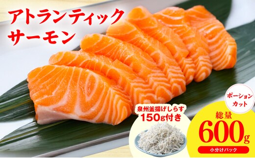 アトランティックサーモン 600g+おまけしらす150g【小分け 200g×3P 柵切 しらす シラス sirasu 刺身 魚介 海鮮 さーもん 生食 お試し】 G3805