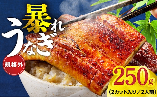 【規格外】うなぎ 暴れ盛り 250g（2カット）【お試し 鰻 かば焼き 簡単調理 訳あり サイズ不揃い 人気 惣菜 うな重 うな丼 ひつまぶし】 G3973