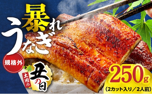 【7/26土用の丑の日】うなぎ 暴れ盛り 250g（2カット）【規格外 お試し 鰻 かば焼き 簡単調理 訳あり サイズ不揃い 人気 惣菜 うな重 うな丼 ひつまぶし】 G3973d