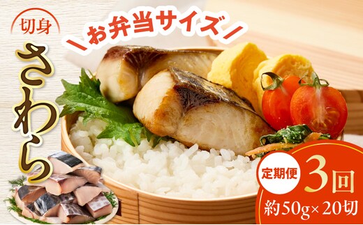 【定期便】さわら 切身 約50g×20切れ 全3回【お弁当サイズ 小分け 漁師 手切り 1kg 泉州 鰆 切り身 弁当 朝食 時短 訳あり サイズ不揃い 規格外 冷凍食品】 G4008