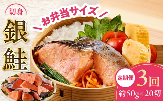 【定期便】銀鮭 切身 約50g×20切れ 全3回【お弁当サイズ 小分け 漁師 手切り 1kg さけ サケ 切り身 弁当 朝食 時短 訳あり サイズ不揃い 規格外 冷凍食品】 G4010