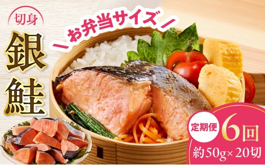 【定期便】銀鮭 切身 約50g×20切れ 全6回【お弁当サイズ 小分け 漁師 手切り 1kg さけ サケ 切り身 弁当 朝食 時短 訳あり サイズ不揃い 規格外 冷凍食品】 G4011
