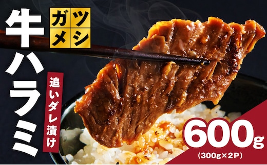 ガツめし牛ハラミ 600g 追いダレ漬け【300g×2 ハラミはらみ 牛はらみ 牛肉 訳アリ 不揃い 小分け 大阪 泉佐野 大阪府 泉佐野市】 G4017