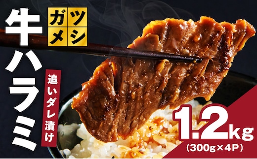 ガツめし牛ハラミ 1.2kg 追いダレ漬け【300g×4 ハラミはらみ 牛はらみ 牛肉 訳アリ 不揃い 小分け 大阪 泉佐野 大阪府 泉佐野市】 G4018