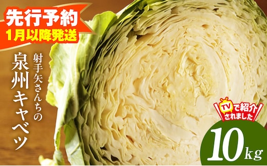 【先行予約】泉州キャベツ 10kg【新鮮 野菜 泉佐野産 やさい 射手矢農園 高評価 数量限定】 G4290