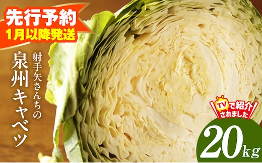【先行予約】泉州キャベツ 20kg【新鮮 野菜 泉佐野産 やさい 射手矢農園 高評価 数量限定】 G4291