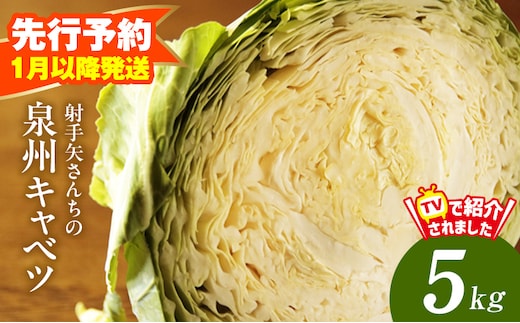 【先行予約】泉州キャベツ 5kg 2～5玉 射手矢農園 訳あり サイズ不揃い【新鮮 野菜 泉佐野産 やさい 射手矢農園 高評価 数量限定】 G4292