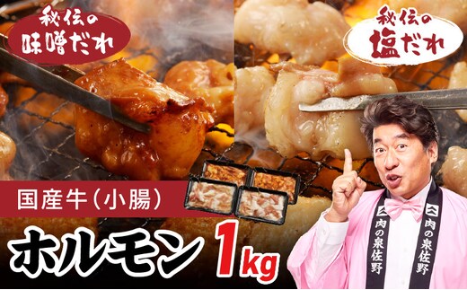 国産 牛肉 ホルモン 1kg 味付けMIX 味噌／塩だれ 焼肉用 小分け 250g×4P【牛肉 焼肉用 焼くだけ 小分け BBQ やきにく 数量限定】 099H4760