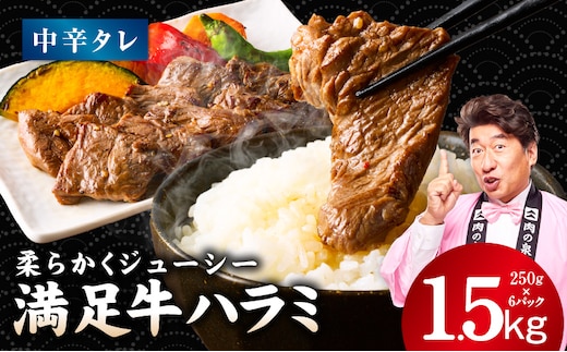 【満足牛ハラミ】中辛タレ漬け 合計1.5kg 【スピード発送 味付け ハラミ 小分け 焼くだけ 簡単調理 BBQ 牛肉 250g×6P 普段使い】 G5281