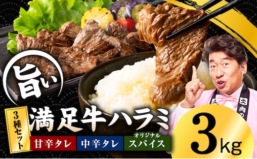 【満足牛ハラミ】3種セット （甘辛タレ漬け・中辛タレ漬け・オリジナルスパイス仕込み） 合計3kg 【スピード発送 味付け ハラミ 小分け 焼くだけ 簡単調理 BBQ 牛肉 250g×12P 普段使い】 G5283